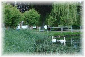 Malchin am See, Mecklenburgische Schweiz